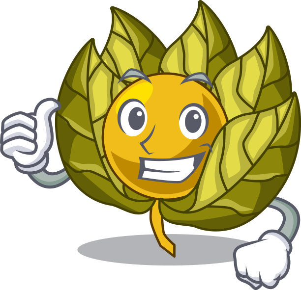 对吉祥物冰箱里的酸浆水果竖起大拇指图片下载