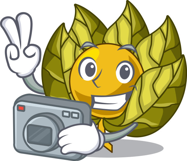 摄于酸浆果中分离图片下载