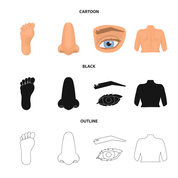 隔离对象的身体和部分标志的身体集图片下载