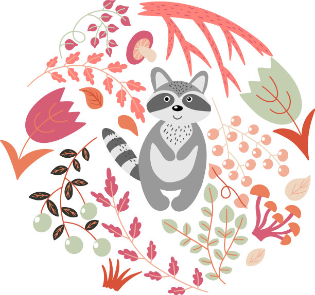 花和浣熊图片下载