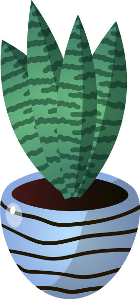 多汁条纹绿色花盆用于室内设计图片下载