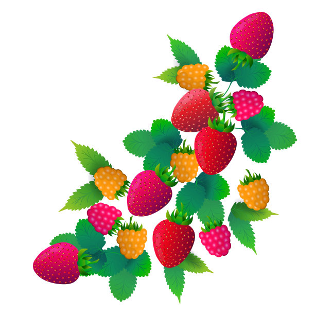 白色背景上的草莓树莓果实图片下载