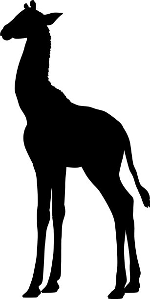 长颈鹿幼崽哺乳动物剪影动物图片下载