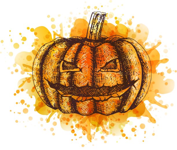 南瓜草图图片下载