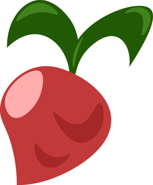 新鲜的萝卜或颜色图片下载