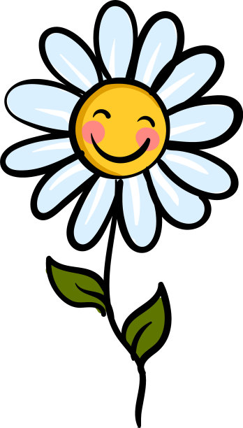微笑的甘菊花和绿色的叶子图片下载