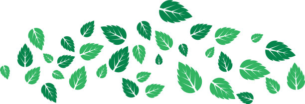 薄荷叶扁平图标图片下载