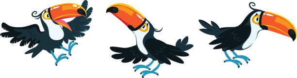 巨嘴鸟的孩子滑稽的鸟图片下载