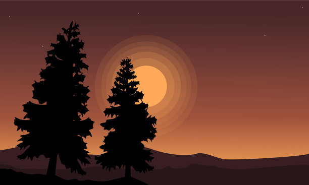 云杉树的剪影风景图片下载