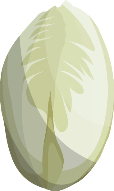 白色背景上的白色蔬菜图片下载