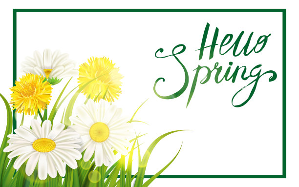 春天的雏菊，甘菊，蒲公英，多汁的绿色图片下载