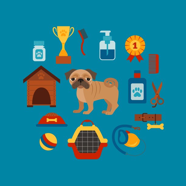 哈巴狗信息图形概念与狗的照顾隔离图片下载