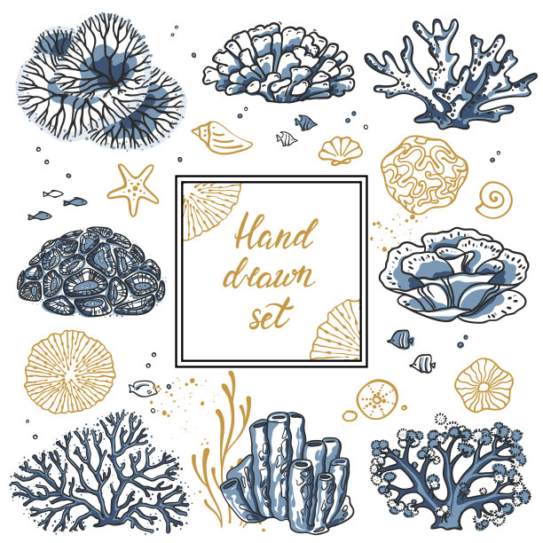 飞行用珊瑚围绕文字和波浪图片下载