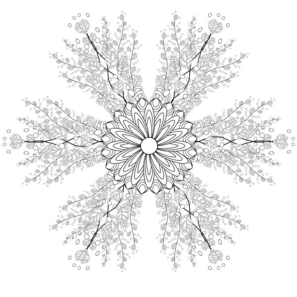 黑白相间的观赏性奇异花图片下载