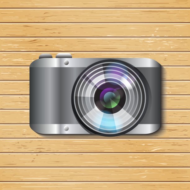 数码相机图片下载