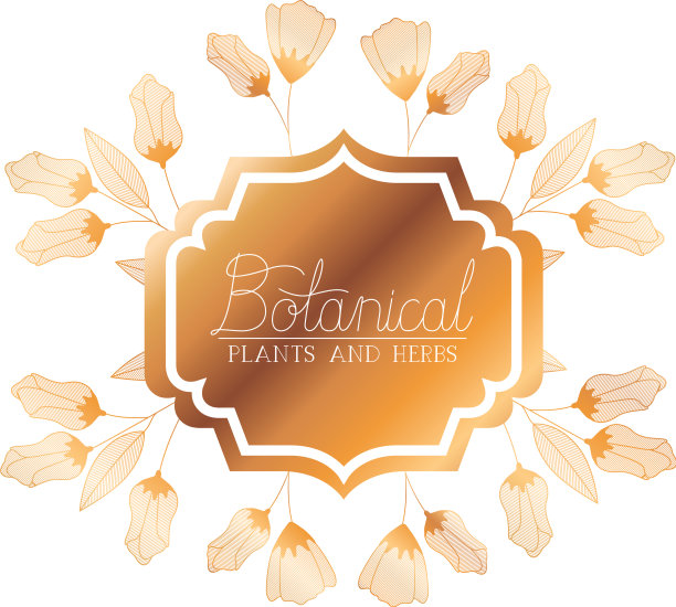 植物标签与植物和草药图片下载