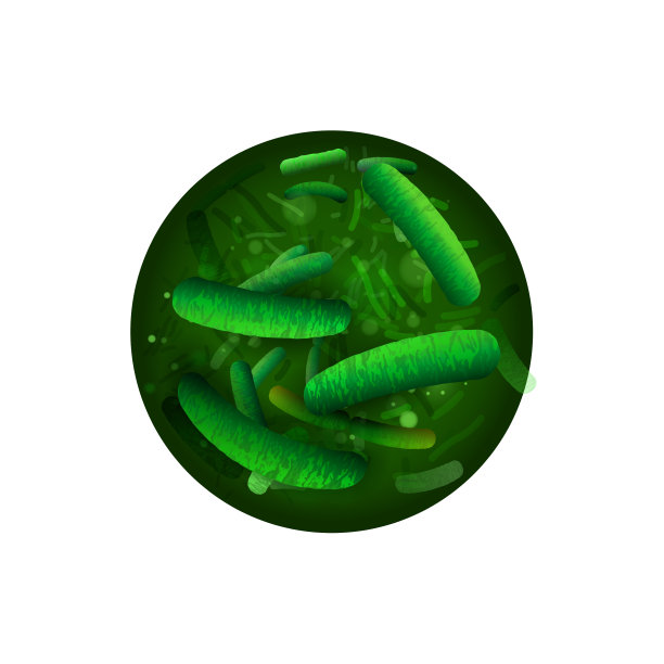 益生菌和益生元图片下载