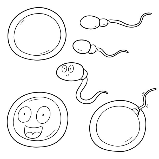 精子和卵子素材图片下载