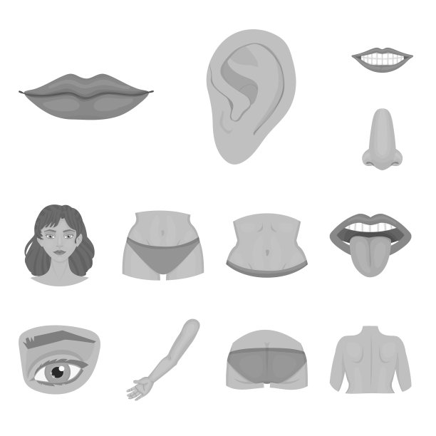 隔离对象的身体和部分标志的身体集图片下载