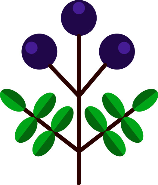 森林浆果平在白色图片下载