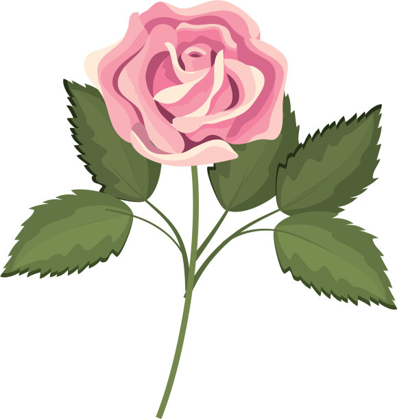 春花带叶图片下载