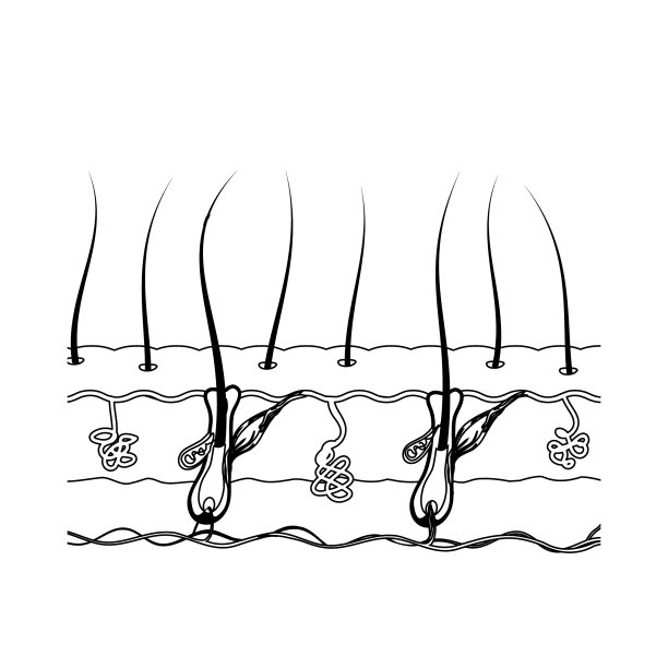 黑白的结构图片下载