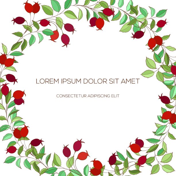 彩色手绘山楂花环图片下载