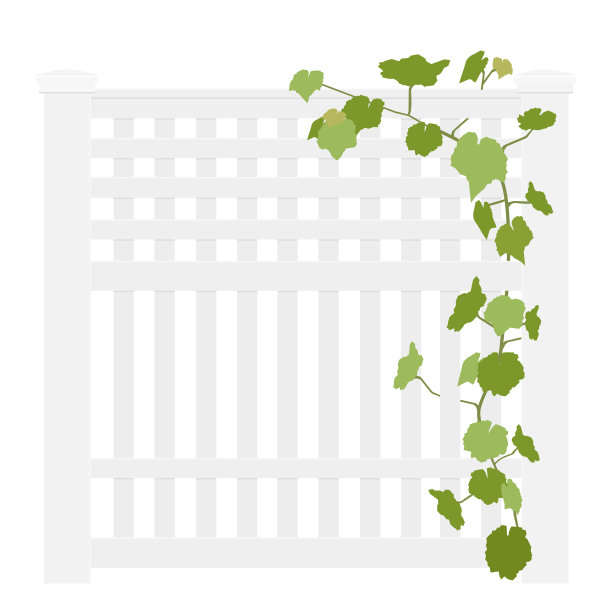 木制的乡村花园围墙上孤立白色图片下载