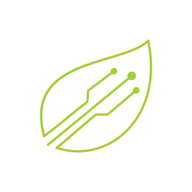 叶子标识设计模板孤立图片下载