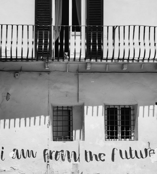 我来自未来图片下载