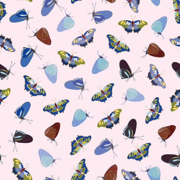 玫瑰蝴蝶图案图片下载