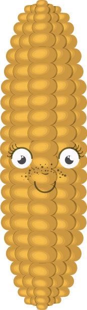 白色背景与玉米棒子漫画在近处图片下载