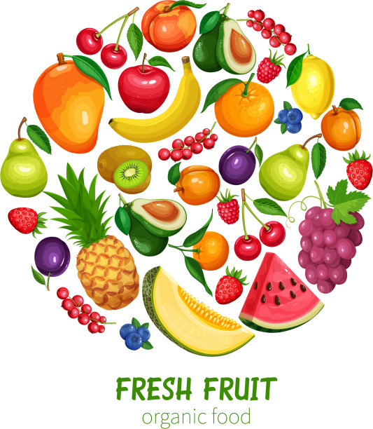 浆果和水果设计图片下载