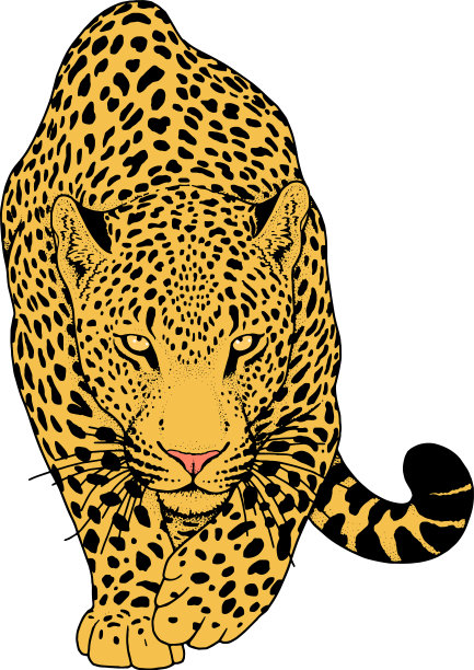 豹图形动物图片下载