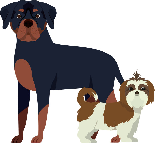 可爱和可爱的狗在白色的背景图片下载