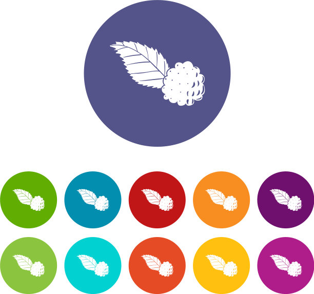 黑莓图标设置颜色图片下载