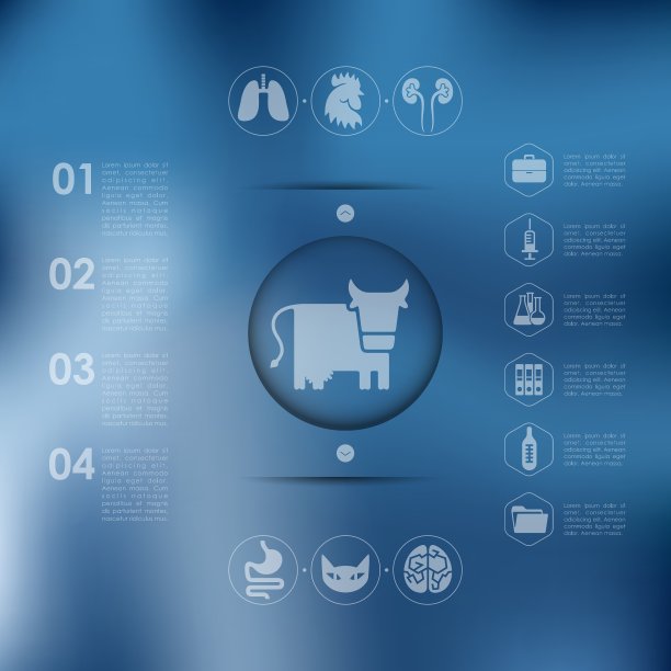 没有重点背景的兽医信息图表图片下载