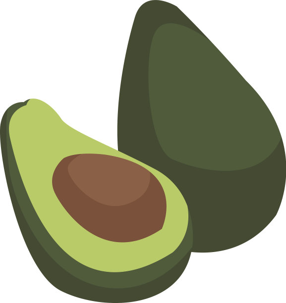 鳄梨热带水果绿色维生素图片下载