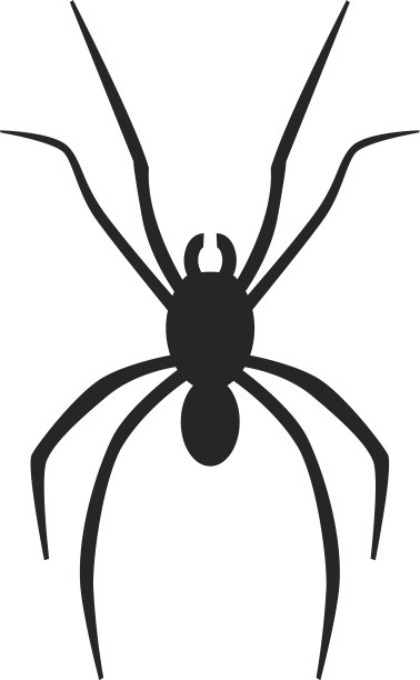 简单风格的蜘蛛图标图片下载