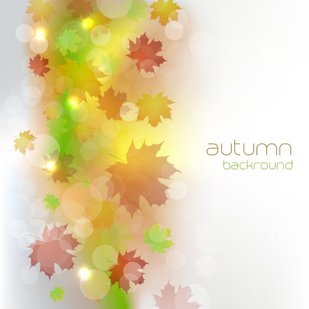 秋天的背景是五颜六色的树叶图片下载