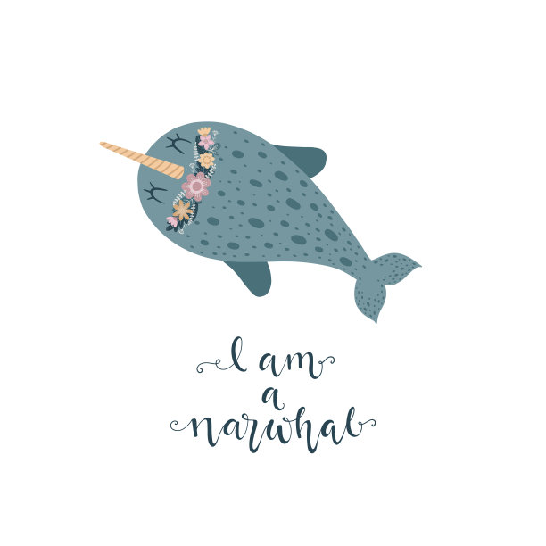 可爱的独角鲸宝宝图片下载