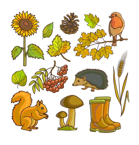 秋季或秋季图标和对象设置的设计图片下载