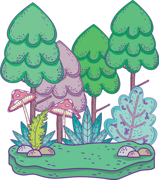 美丽的森林和真菌景观景观图片下载
