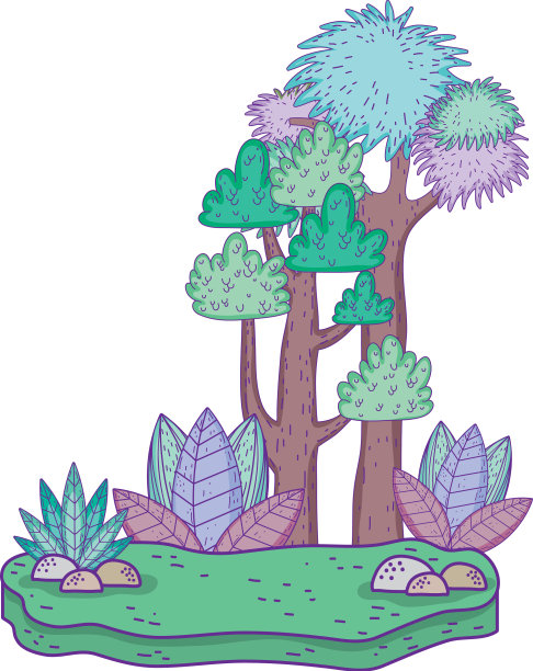 美丽的森林景观图片下载