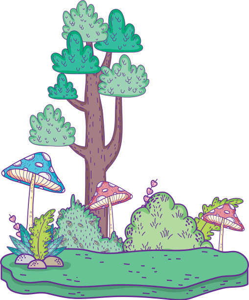 美丽的森林和真菌景观景观图片下载