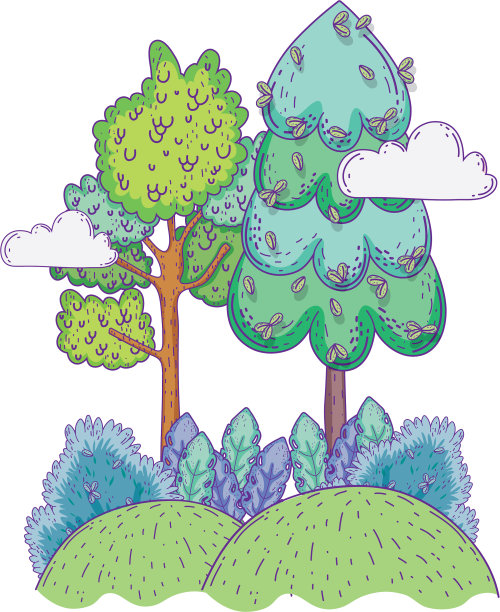 美丽的森林景观图片下载