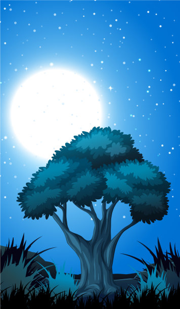 森林夜景图片下载