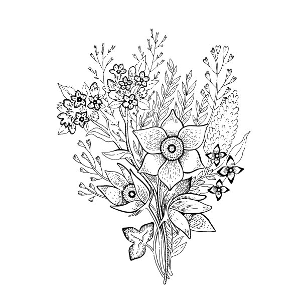 春花花束素描花图片下载