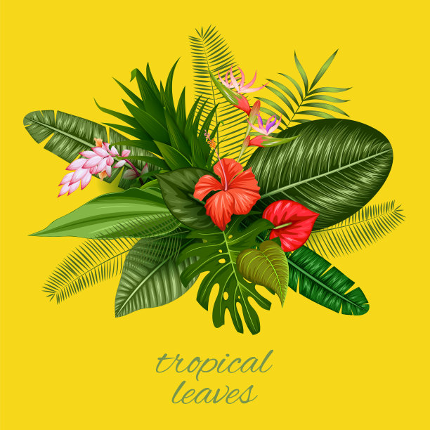 夏季海报壁纸的乐趣派对图片下载