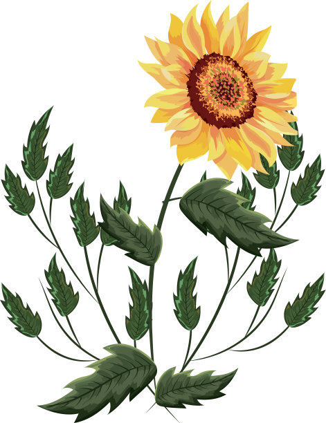 春花带叶图片下载